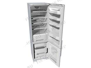 Холодильник Korting KRK62391AC (169064, HZS4066AFV) - Фото